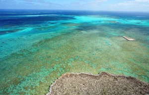 Abrolhos Tours