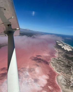 Pink Lake 1